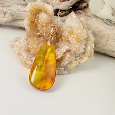 收藏級-《隨形琥珀蟲珀項鍊》4