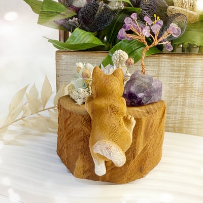 玩原礦-《紫晶發財樹·財犬乾燥花擺件》4