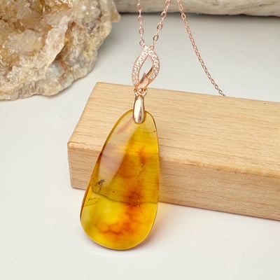 收藏級-《隨形琥珀蟲珀項鍊》7