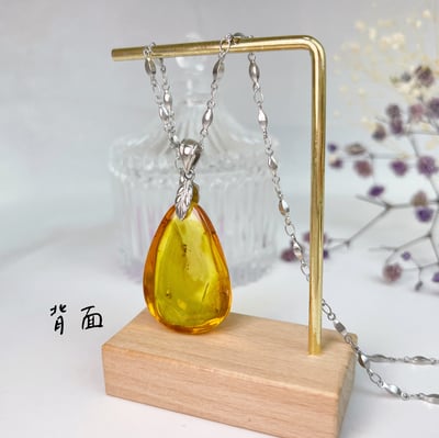 奮發向上螞蟻蟲珀琥珀項鍊6