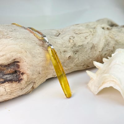 收藏級-《天然蟲珀琥珀項鍊》2