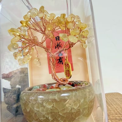 桃花貴人/招財納福-《壓克力盒水晶招財樹擺件》6