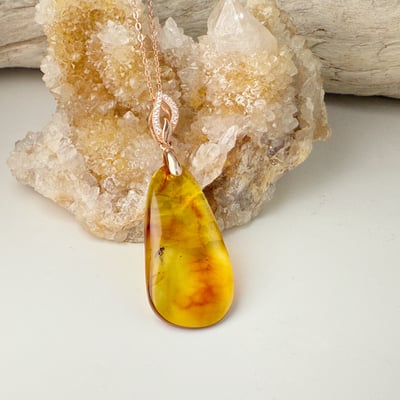 收藏級-《隨形琥珀蟲珀項鍊》3