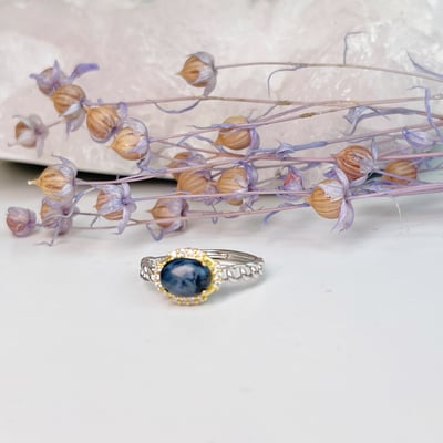 輕奢珠寶-《彼得石戒指》5