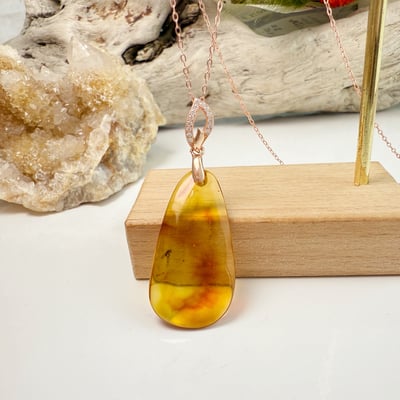 收藏級-《隨形琥珀蟲珀項鍊》6