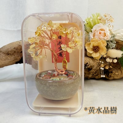 桃花貴人/招財納福-《壓克力盒水晶招財樹擺件》2