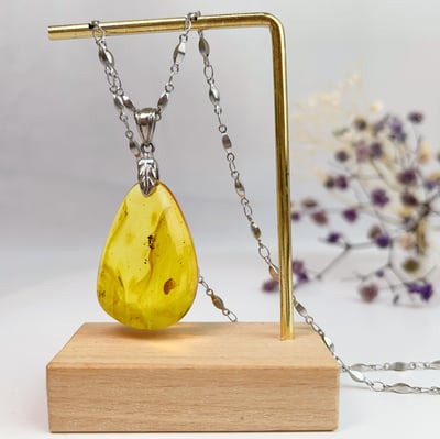 奮發向上螞蟻蟲珀琥珀項鍊3