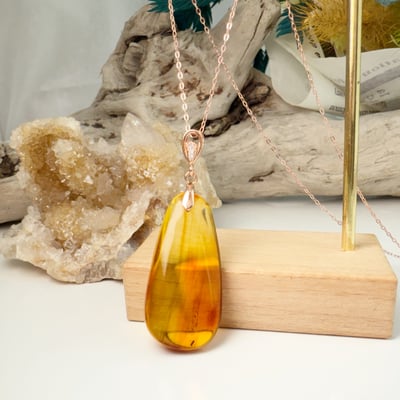 收藏級-《隨形琥珀蟲珀項鍊》6