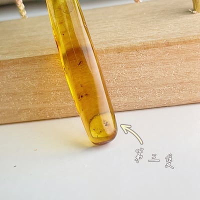 收藏級-《天然蟲珀琥珀項鍊》6