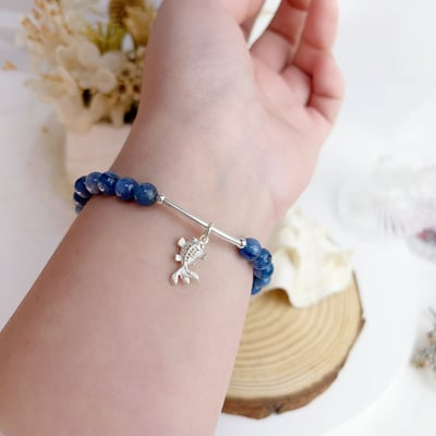 心靈力量/財富盈餘-《銀魚莫內藍晶石手鍊》7