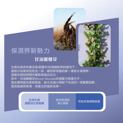 鎂莎蒙 Melsamon 白C美姬慕斯面膜7