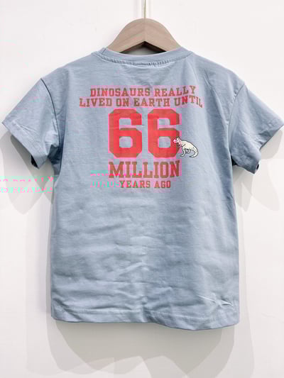 【Dinosaur Adventure恐龍星球探險｜短T】2