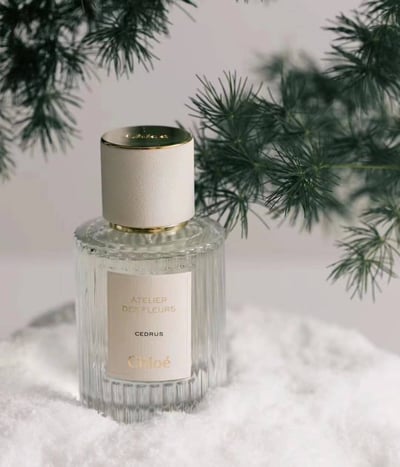 Chloé 仙境花園系列 北國雪松 50ml4