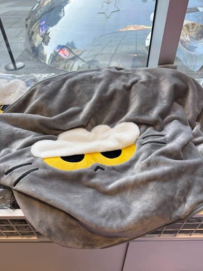 ZOA 毛絨毛毯（已匯款訂金）1