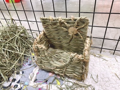 日本 Sumi-CA 燕麥草專用牧草架5