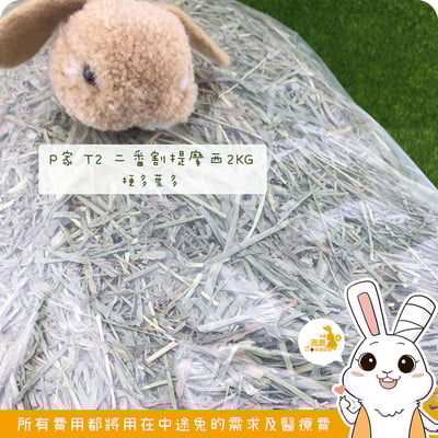 P家牧草 T2 二割提摩西1