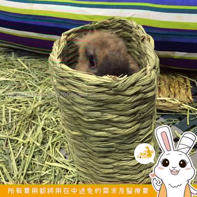 OXBOW 提摩西綠色隧道3