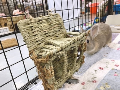 日本 Sumi-CA 提摩西專用牧草架1