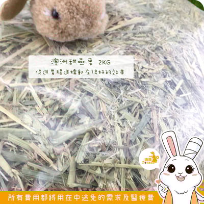 特級 澳洲甜燕麥/甜小麥2