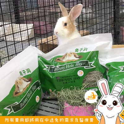 美國 兔子洞二切軟纖葉多提摩西(接近二切)6