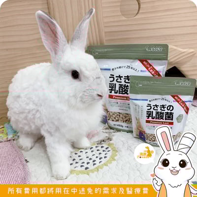 日本WOOLY 兔子的乳酸菌(新款)1