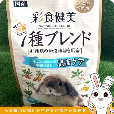 Gex彩食健美肥胖兔3