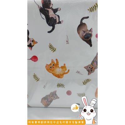 寵物尿布墊 / 五層棉料防尿墊3