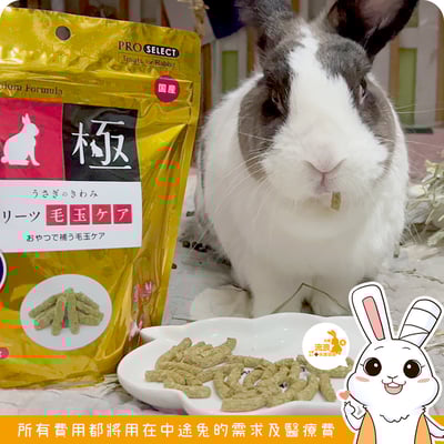 日本 HI-PET 金極毛玉牧草條 (KIWAMI極)3