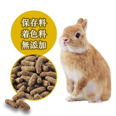 GEX 彩食健美腸道菌均衡餐4