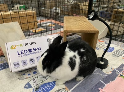 PLU01 LED紫外線燈 311納米窄譜UVB2