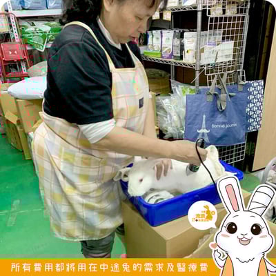 PiPe煙斗牌 ER-169 寵物專業電剪7