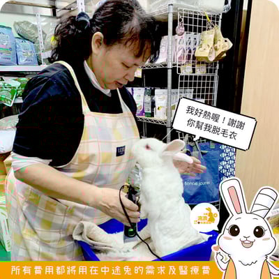 安置中心預約剃毛/剪指甲服務1