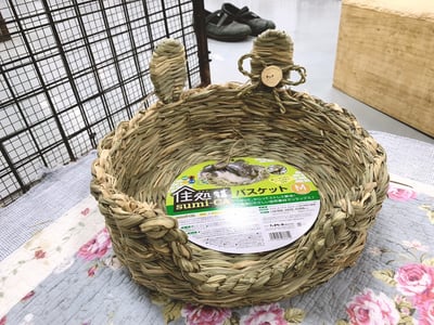 日本 Sumi-CA 兔耳草編窩 S/M7