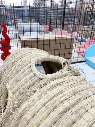 兔窩貓宅 隧道12