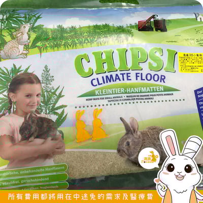 CHIPSI 小動物專用軟踏墊 好忙墊 L3