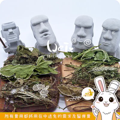 魏啥麻手工零食 - 保健草(乾燥)1