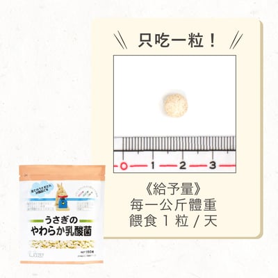 日本WOOLY 軟乳酸菌3