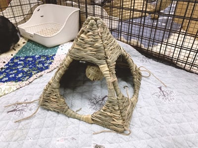 日本 Sumi-CA 金字塔草屋/草編帳篷 S/M5