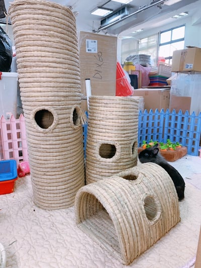 兔窩貓宅 隧道1