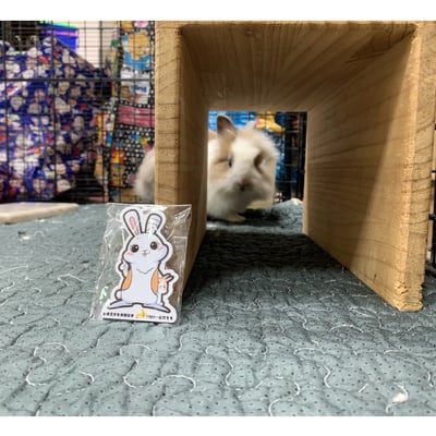 浪兔 icash2.0卡 造型卡 鑰匙圈8