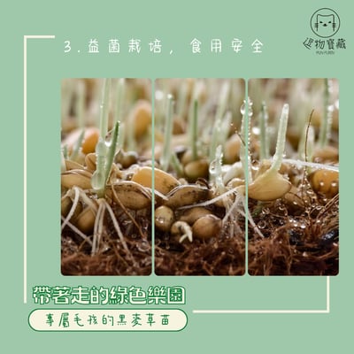 逗物寶藏｜小草皮義賣(冷藏宅配單獨出貨或協會自取)(無超商取貨)4