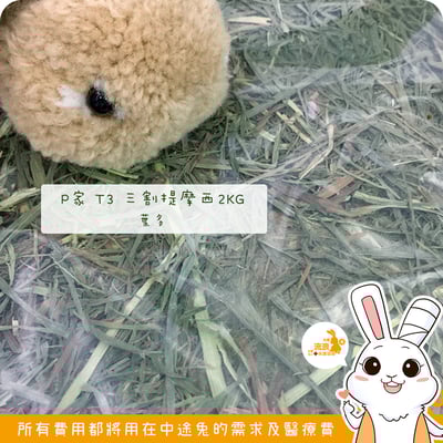 P家牧草 T3 三割提摩西2