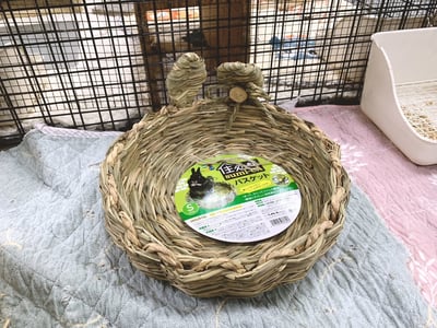 日本 Sumi-CA 兔耳草編窩 S/M6