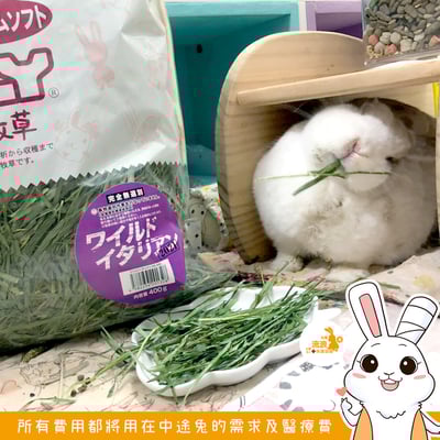 日本WOOLY 高原的義大利黑麥草 幼割 無選別1