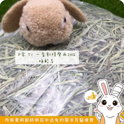 P家牧草 T1 一割提摩西1