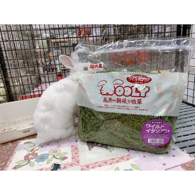 日本WOOLY 高原的義大利黑麥草 幼割 無選別5