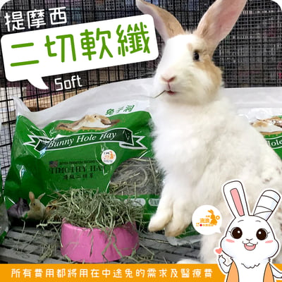 美國 兔子洞二切軟纖葉多提摩西(接近二切)1