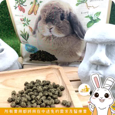 Gex彩食健美肥胖兔2