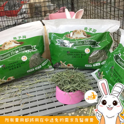 美國 兔子洞二切軟纖葉多提摩西(接近二切)3
