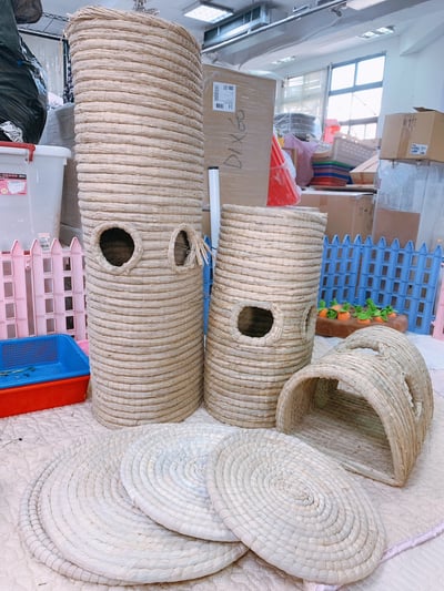 兔窩貓宅 隧道14